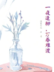 一夜逢柳，万春难渡