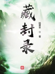 藏封录